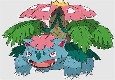 mega venusaur smogon|mega venusaur pokemon go.